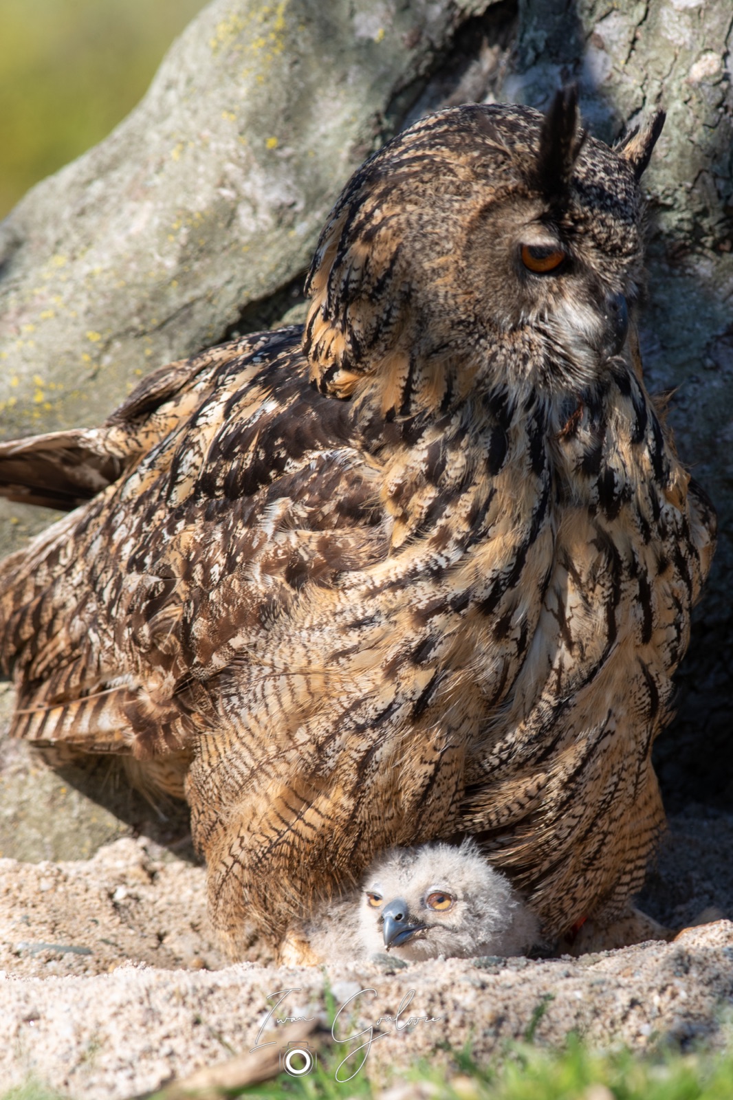 18 april 2022 100656 1DX49206